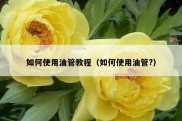 如何使用油管教程（如何使用油管?）