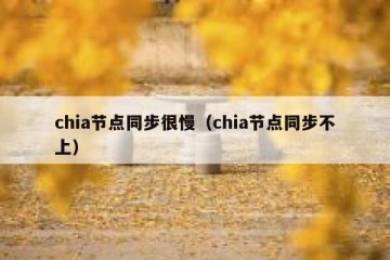 chia节点同步很慢（chia节点同步不上）
