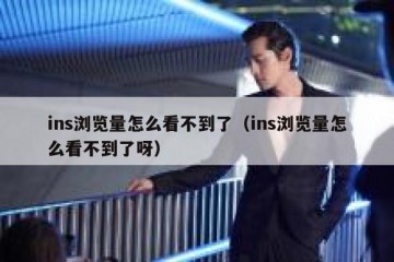 ins浏览量怎么看不到了（ins浏览量怎么看不到了呀）