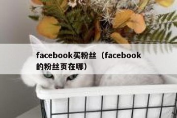facebook买粉丝（facebook的粉丝页在哪）