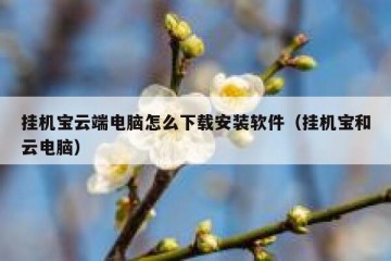 挂机宝云端电脑怎么下载安装软件（挂机宝和云电脑）