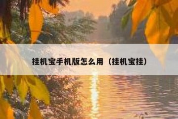 挂机宝手机版怎么用（挂机宝挂）