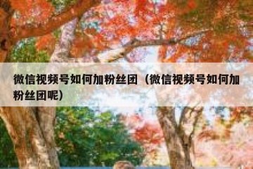 微信视频号如何加粉丝团（微信视频号如何加粉丝团呢）