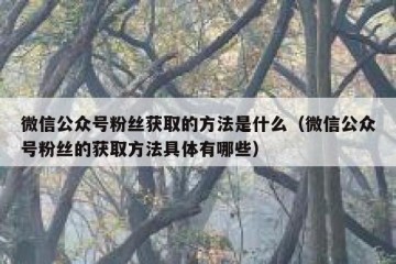 微信公众号粉丝获取的方法是什么（微信公众号粉丝的获取方法具体有哪些）
