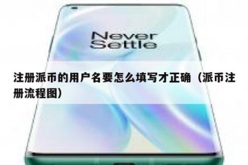 注册派币的用户名要怎么填写才正确（派币注册流程图）