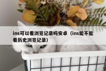 ins可以看浏览记录吗安卓（ins能不能看历史浏览记录）