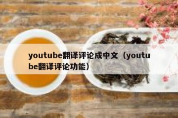 youtube翻译评论成中文（youtube翻译评论功能）