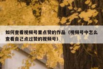 如何查看视频号里点赞的作品（视频号中怎么查看自己点过赞的视频号）