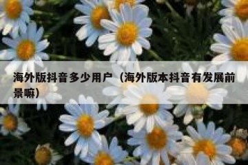 海外版抖音多少用户（海外版本抖音有发展前景嘛）