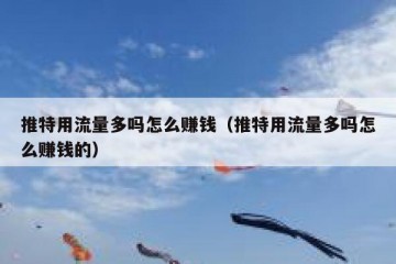 推特用流量多吗怎么赚钱（推特用流量多吗怎么赚钱的）