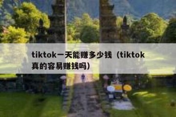 tiktok一天能赚多少钱（tiktok真的容易赚钱吗）