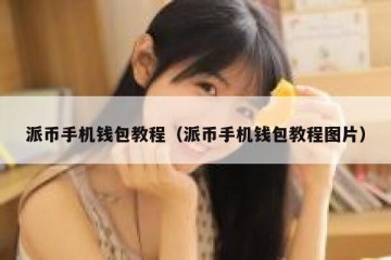 派币手机钱包教程（派币手机钱包教程图片）