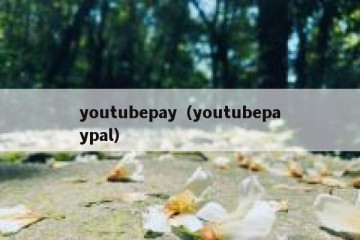youtubepay（youtubepaypal）