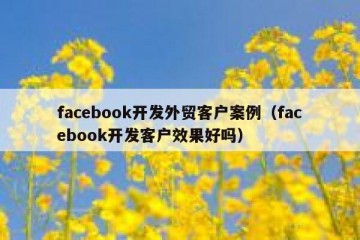 facebook开发外贸客户案例（facebook开发客户效果好吗）