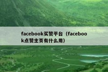 facebook买赞平台（facebook点赞主页有什么用）