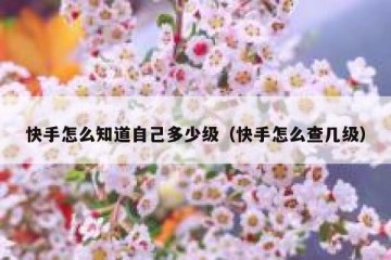 快手怎么知道自己多少级（快手怎么查几级）