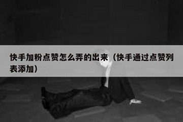 快手加粉点赞怎么弄的出来（快手通过点赞列表添加）