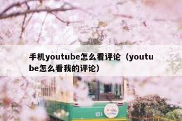 手机youtube怎么看评论（youtube怎么看我的评论）