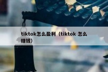 tiktok怎么盈利（tiktok 怎么赚钱）
