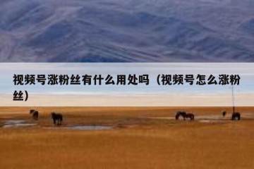 视频号涨粉丝有什么用处吗（视频号怎么涨粉丝）