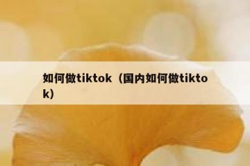 如何做tiktok（国内如何做tiktok）