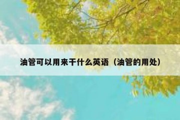 油管可以用来干什么英语（油管的用处）