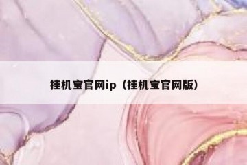 挂机宝官网ip（挂机宝官网版）