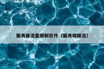 服务器流量限制软件（服务端限流）