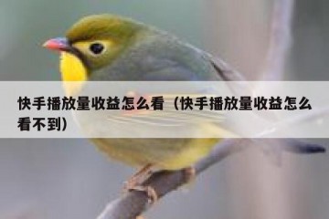 快手播放量收益怎么看（快手播放量收益怎么看不到）
