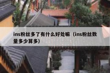 ins粉丝多了有什么好处嘛（ins粉丝数量多少算多）