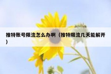 推特账号限流怎么办啊（推特限流几天能解开）