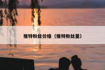 推特粉丝价格（推特粉丝量）
