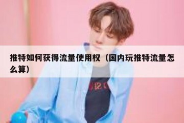 推特如何获得流量使用权（国内玩推特流量怎么算）