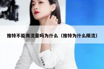 推特不能用流量吗为什么（推特为什么限流）