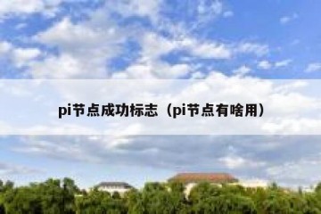 pi节点成功标志（pi节点有啥用）
