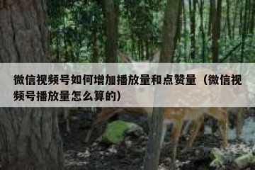 微信视频号如何增加播放量和点赞量（微信视频号播放量怎么算的）