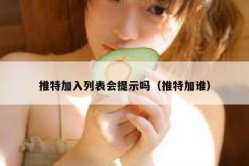 推特加入列表会提示吗（推特加谁）