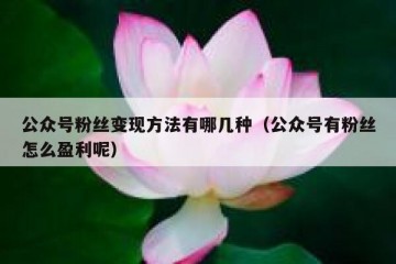 公众号粉丝变现方法有哪几种（公众号有粉丝怎么盈利呢）