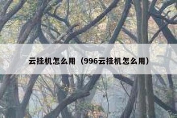 云挂机怎么用（996云挂机怎么用）
