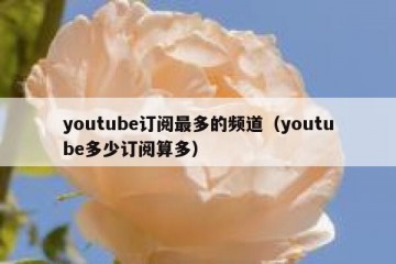 youtube订阅最多的频道（youtube多少订阅算多）