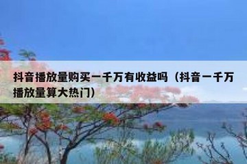 抖音播放量购买一千万有收益吗（抖音一千万播放量算大热门）