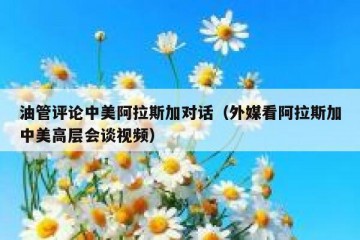 油管评论中美阿拉斯加对话（外媒看阿拉斯加中美高层会谈视频）