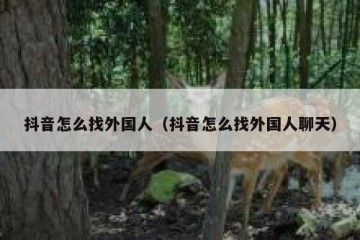 抖音怎么找外国人（抖音怎么找外国人聊天）
