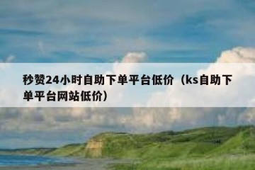 秒赞24小时自助下单平台低价（ks自助下单平台网站低价）
