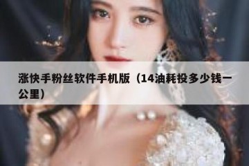 涨快手粉丝软件手机版（14油耗投多少钱一公里）