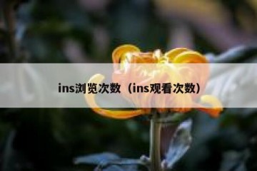 ins浏览次数（ins观看次数）