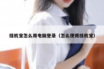 挂机宝怎么用电脑登录（怎么使用挂机宝）