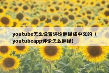youtube怎么设置评论翻译成中文的（youtubeapp评论怎么翻译）