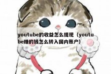 youtube的收益怎么提现（youtube赚的钱怎么转入国内账户）