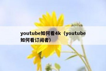 youtube如何看4k（youtube如何看订阅者）